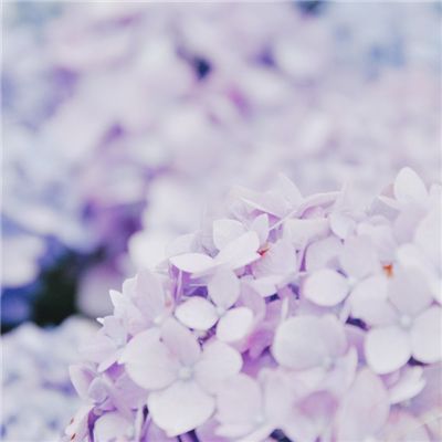 果盘终末阵线伊诺贝塔手游下载